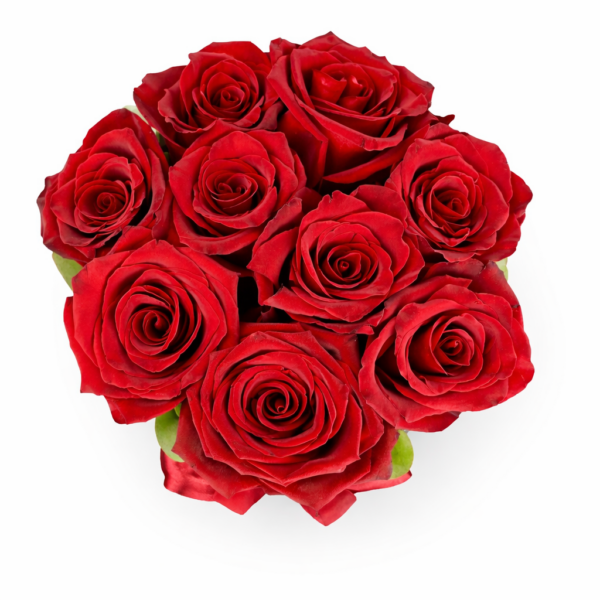 4148b5be-f4a7-4cd5-9820-8062b977f493 4148b5be-f4a7-4cd5-9820-8062b977f493