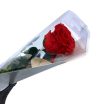 PhotoRoom_20221214_154619