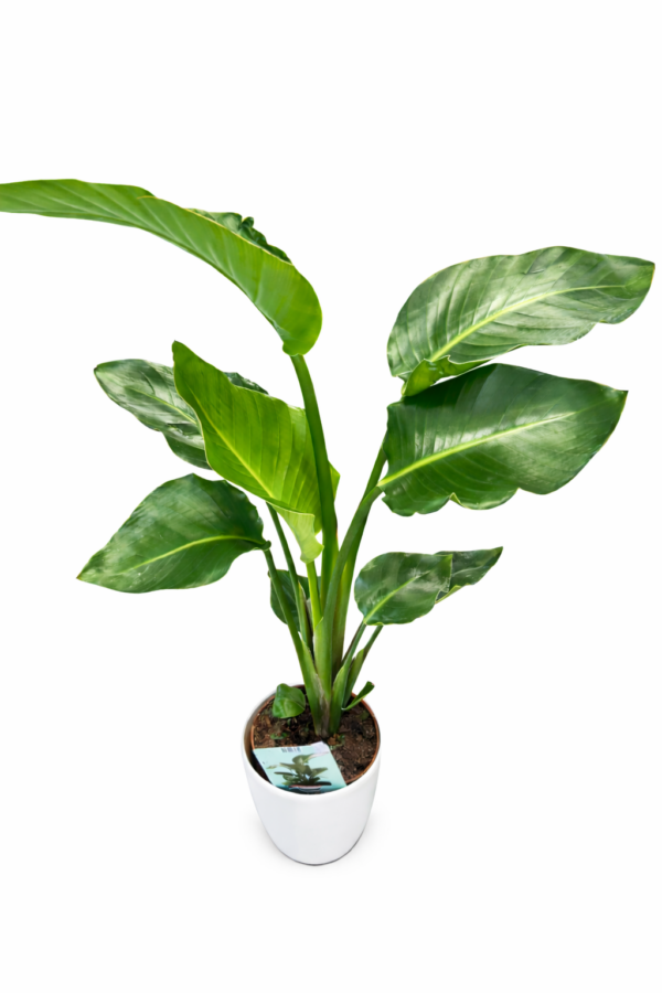 BBCE38FE-5666-4BE5-922E-768A64403FC8