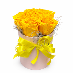 Box stabilizovaných ruží 5 ks – žlté ruže so saténovou stuhou