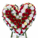 83B9D0B6-395A-4933-BCE7-07A0AE881DF5