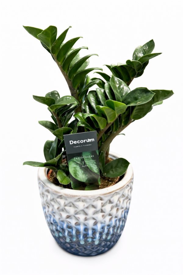 98B3B3BC-8828-4004-80B1-C556D7A6A862