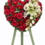 C1844BDD-0F08-4815-AB43-C924466B3362